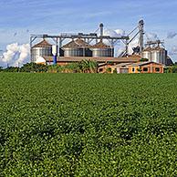 Farm with large Comil silos to store harvested soyabeans / soya beans in the middle of soybean fields in rural Alto Paraná, Paraguay